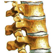 Gerinc gyógyítás, mozgásszervi betegségek kezelése
